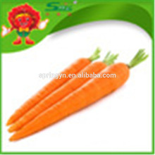 2015 Nuevo Cultivo China Fresh Red Carrot